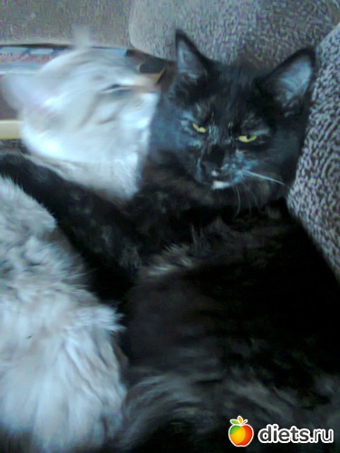 7 фото: фото отчеты