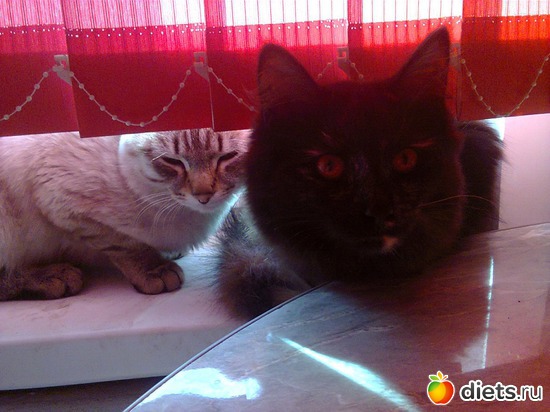 8 фото: фото отчеты