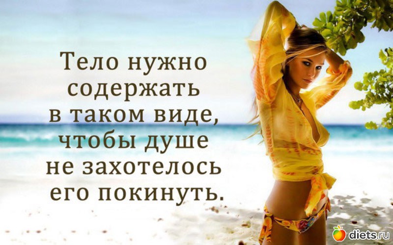 3 ����: ���������