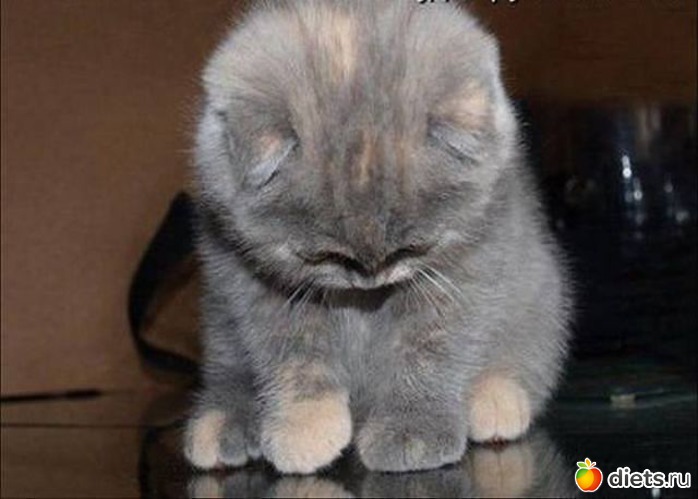 Ой,один носочек потерял..., альбом: Открытки,картинки,фото.