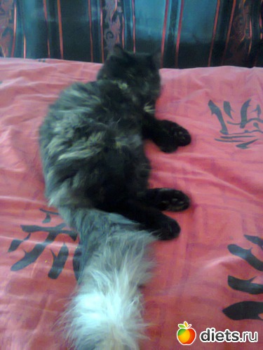 11 фото: фото отчеты