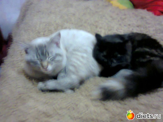 14 фото: фото отчеты