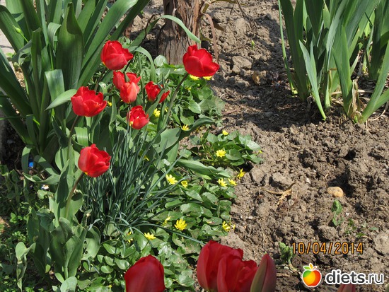 55 ����: �����-����-����� 2013 - 2015