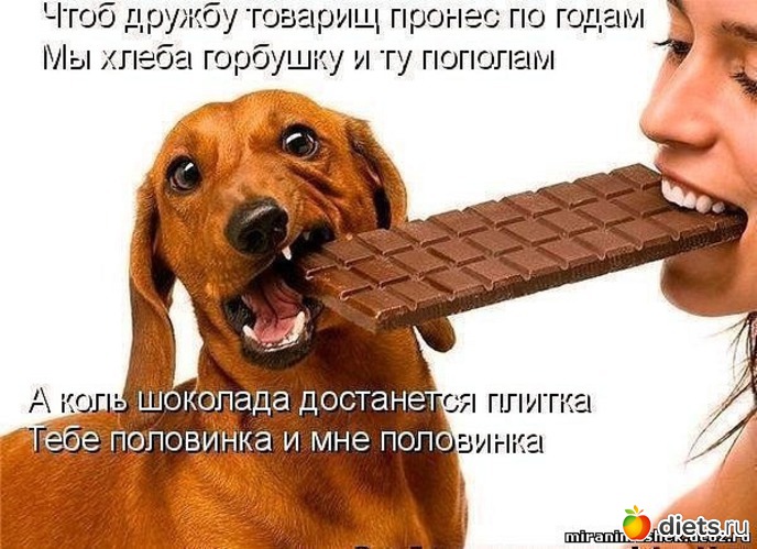 1 ����: ))