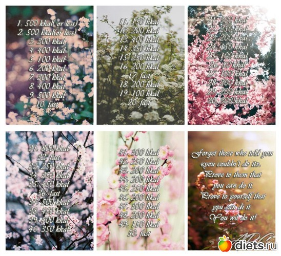 2 ����: �����