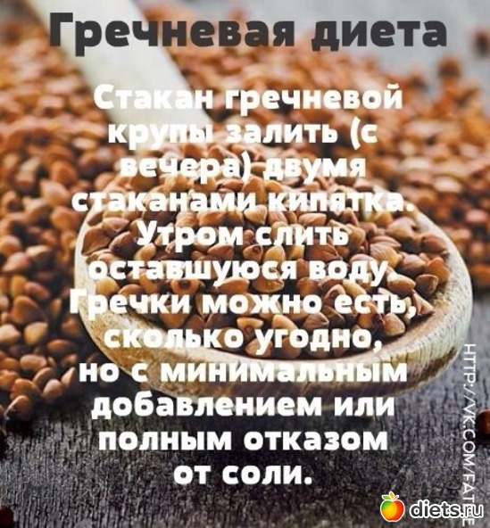 14 ����: �����