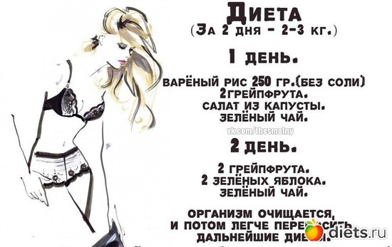 41 ����: �����