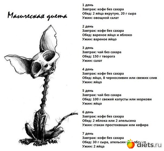 43 ����: �����