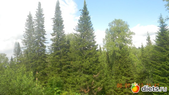 В Турочак, альбом: мой Алтай.