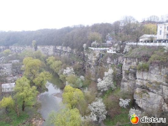 � ��� - ��� � �����, ������: �������-����������, �����