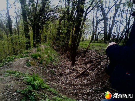 27 ����: ���������