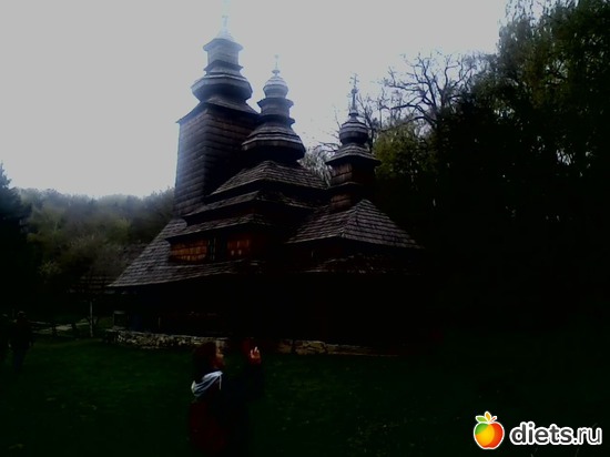 28 фото: Голосеево