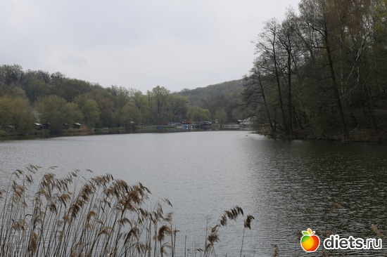 12 ����: ���������