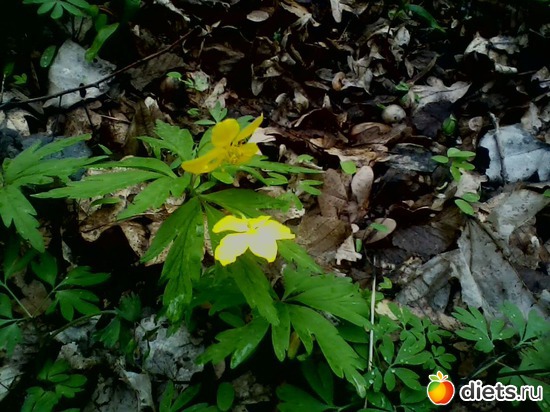 23 ����: ���������
