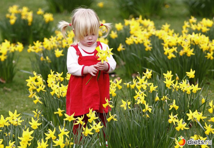 8 фото: природа