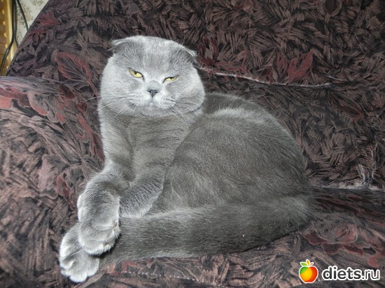 7 фото: няшки