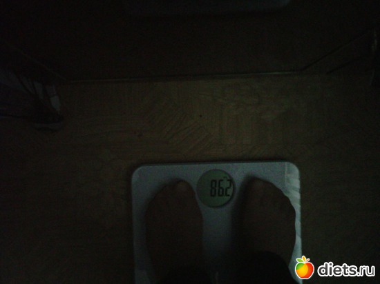 1 фото: мои отчеты