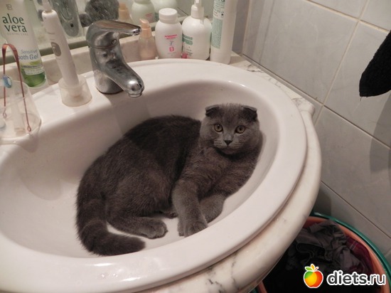 1 фото: няшки