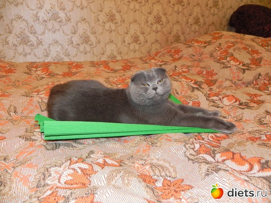 5 фото: няшки