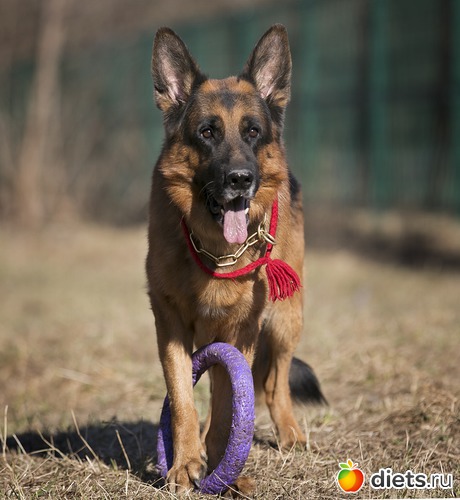 8 ����: ��� �������