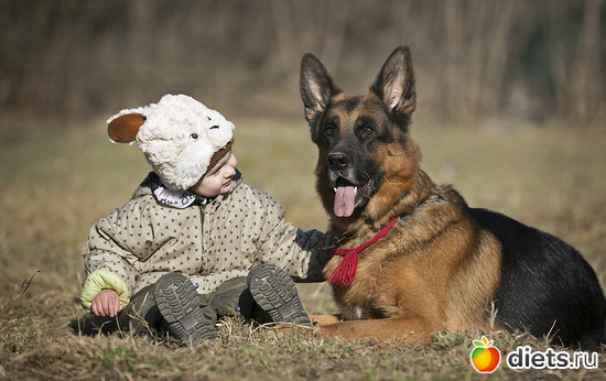 9 фото: мой Собакин