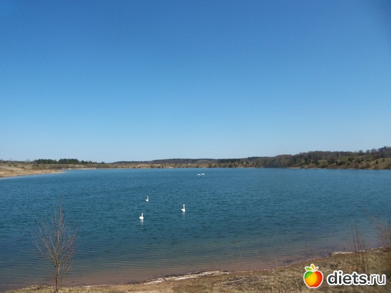 2 ����: 19.04.2014. (28 ������ ������������)