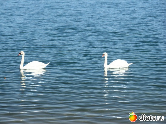 14 ����: 19.04.2014. (28 ������ ������������)