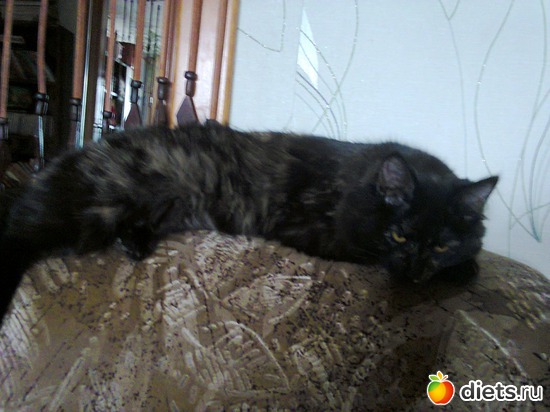 21 фото: фото отчеты