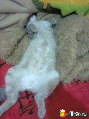 25 фото: фото отчеты