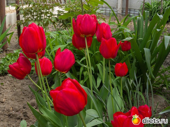 57 ����: �����-����-����� 2013 - 2015