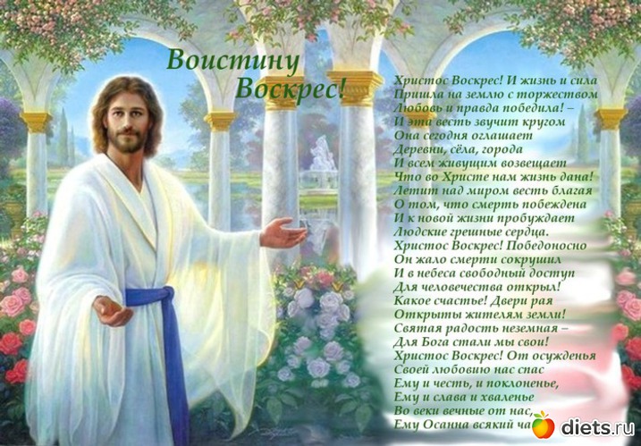 29 фото: Цветы