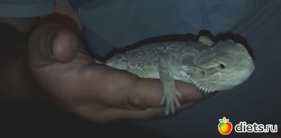 40 ����: ��� ������� �����