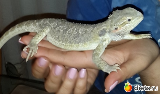 42 ����: ��� ������� �����