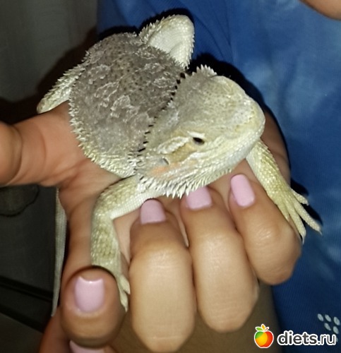 43 ����: ��� ������� �����