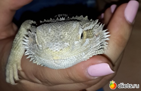 44 ����: ��� ������� �����