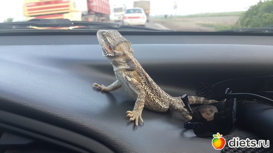 48 ����: ��� ������� �����