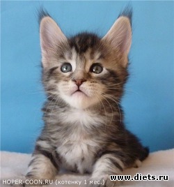 �������� ������ ������ ���� ���.