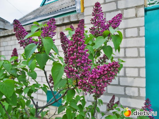 62 ����: �����-����-����� 2013 - 2015