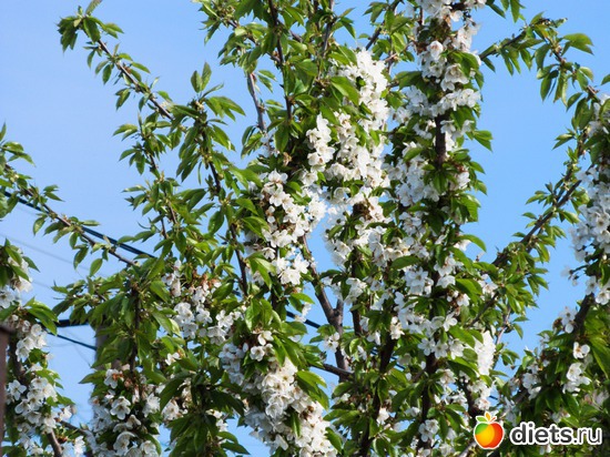 64 ����: �����-����-����� 2013 - 2015