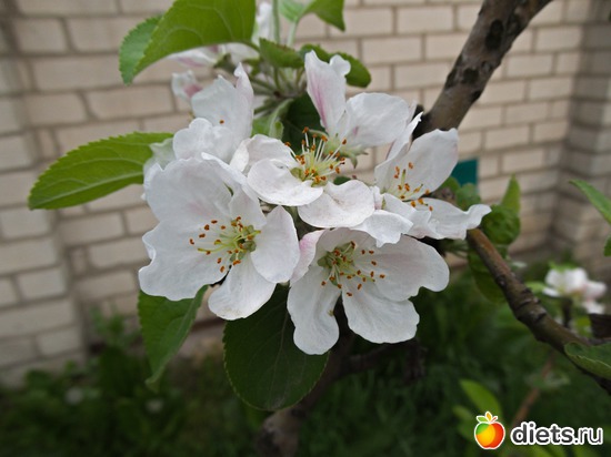 65 ����: �����-����-����� 2013 - 2015