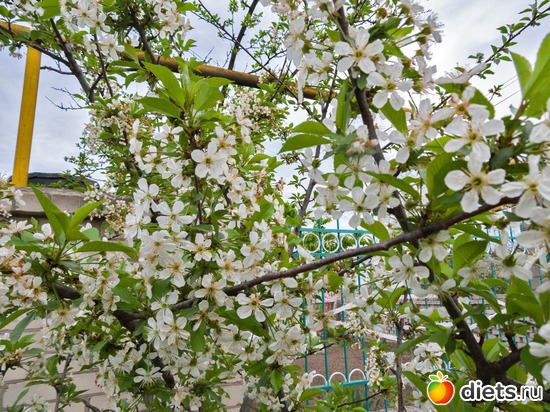 58 ����: �����-����-����� 2013 - 2015