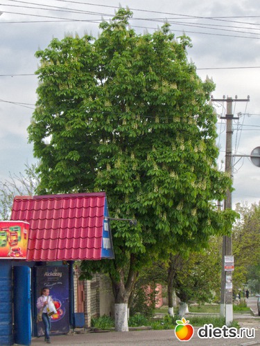 59 ����: �����-����-����� 2013 - 2015