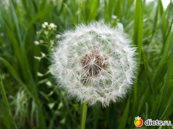 60 ����: �����-����-����� 2013 - 2015