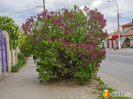 61 ����: �����-����-����� 2013 - 2015