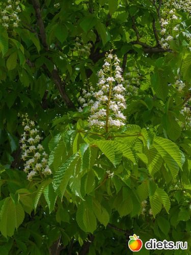 66 ����: �����-����-����� 2013 - 2015