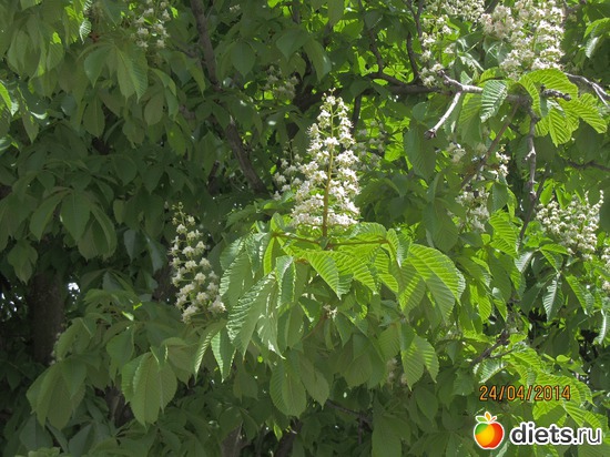 67 ����: �����-����-����� 2013 - 2015