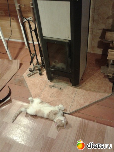 Симона, альбом: Зверье мое