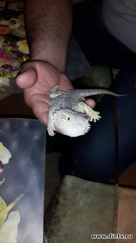 41 ����: ��� ������� �����