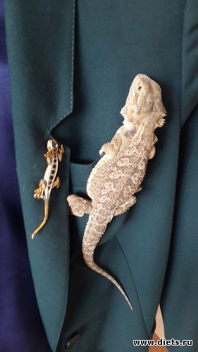 45 ����: ��� ������� �����