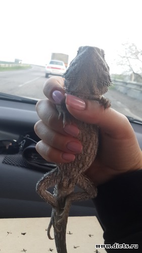 47 ����: ��� ������� �����